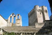 Abbaye de Montmajour
